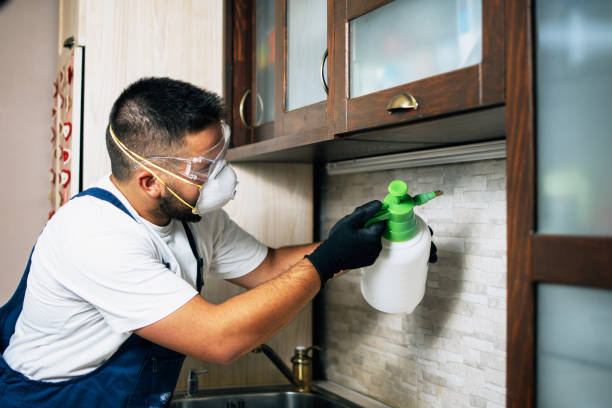 Professional Pest Control in Marcus, IA