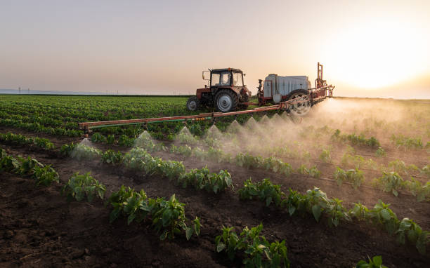 Professional Pest Control in Marcus, IA