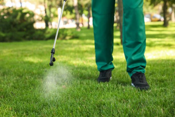 Best Termite Control Services  in Marcus, IA