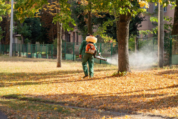 Insect Control in Marcus, IA