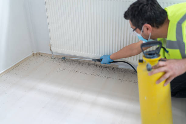Best Cockroach Control Services  in Marcus, IA